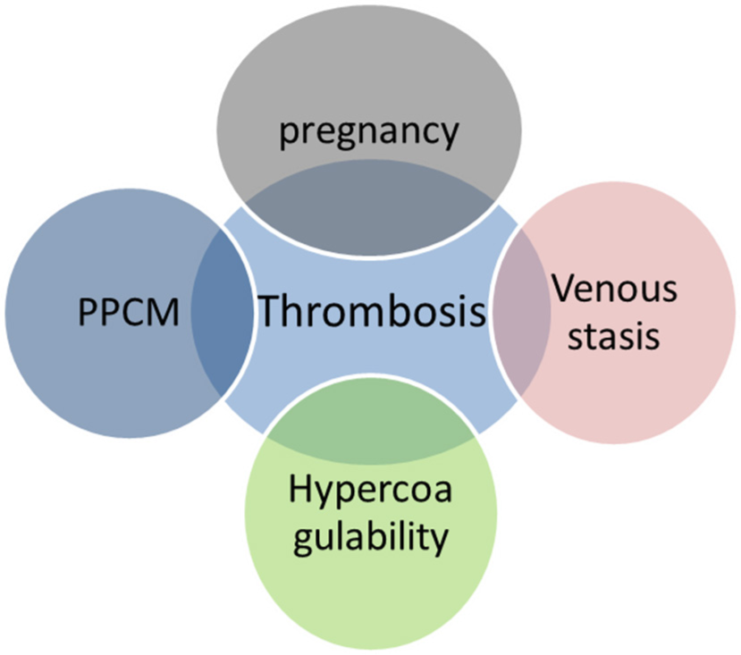 Peripartum Cardiomyopathy and Thrombosis – A Match Made In Hell!
