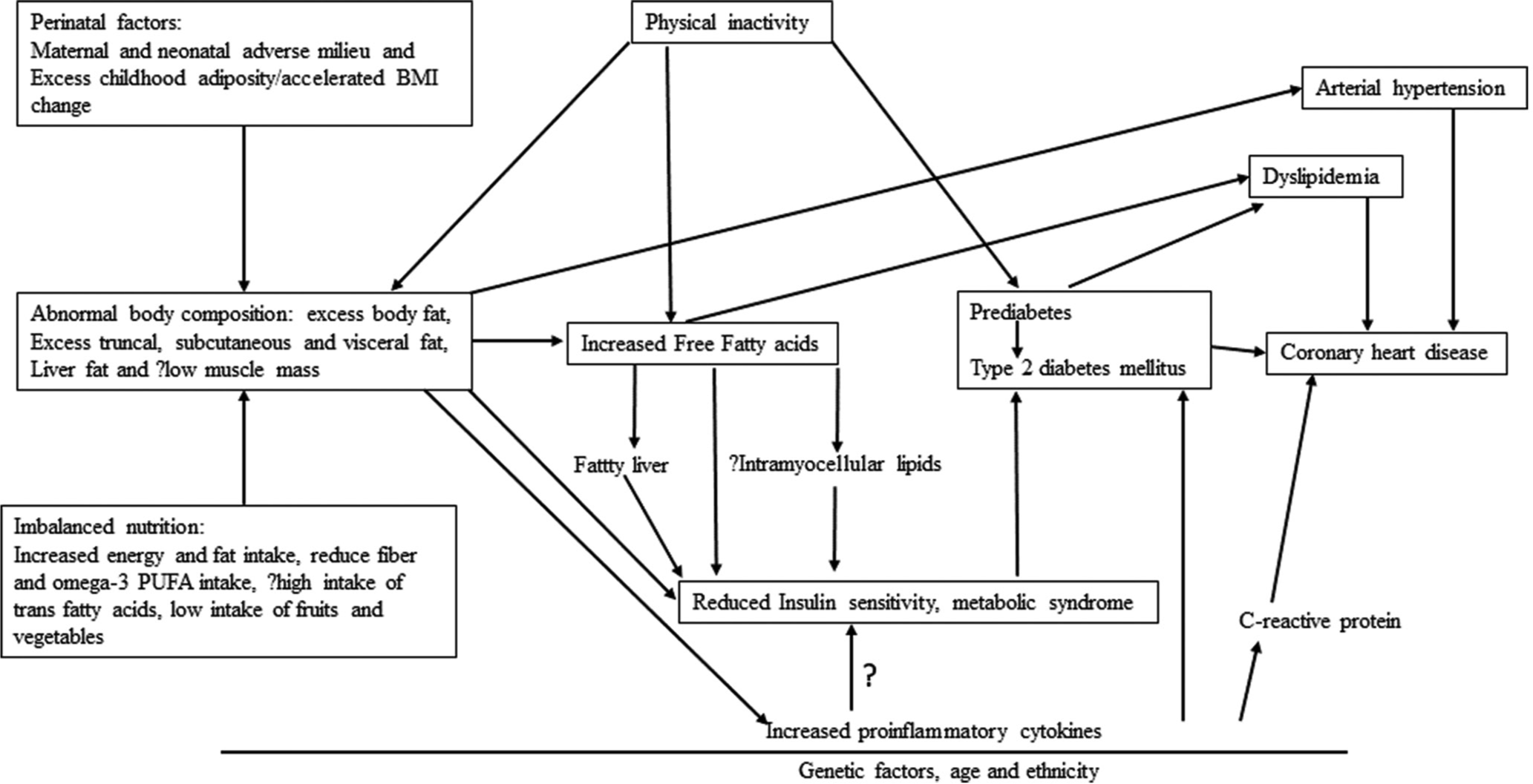 Metabolic syndrome in psychiatric disorders