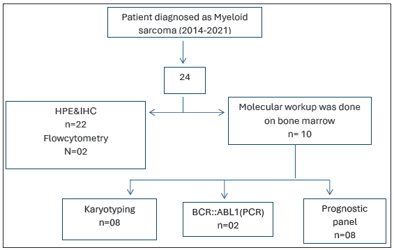 Myeloid sarcoma: A 7-year retrospective study from a tertiary cancer care center, illustrating the clinical, morphological, and immunohistochemical features