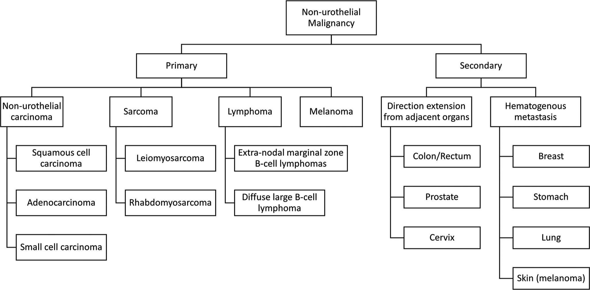 Non-Urothelial Malignancy in Urine Cytology
