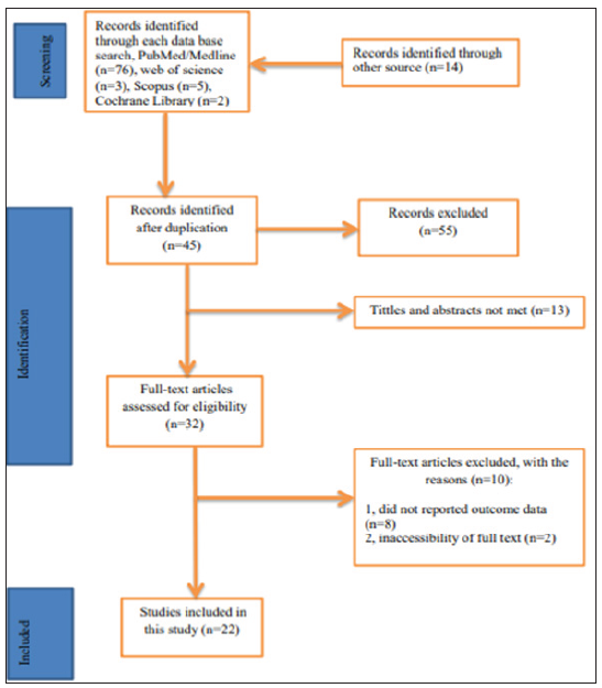 Prevalence and Associated Factors of Client Satisfaction with Antenatal Care Services Among Antenatal Care Attendants in Ethiopia: A Systematic Review and Meta-Analysis