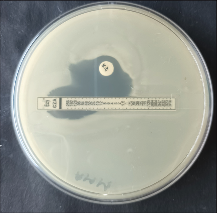 Assessment of in vitro antimicrobial activity of ceftazidime-avibactam and phenotypic synergy testing with aztreonam against carbapenem resistant Gram-negative bacilli in a tertiary care hospital