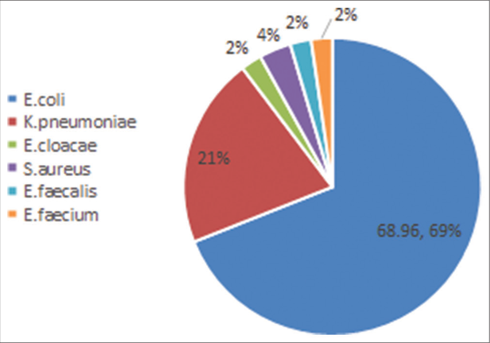 Clinico-microbiological profile of urosepsis patients in a tertiary care hospital in India: A 1-year study