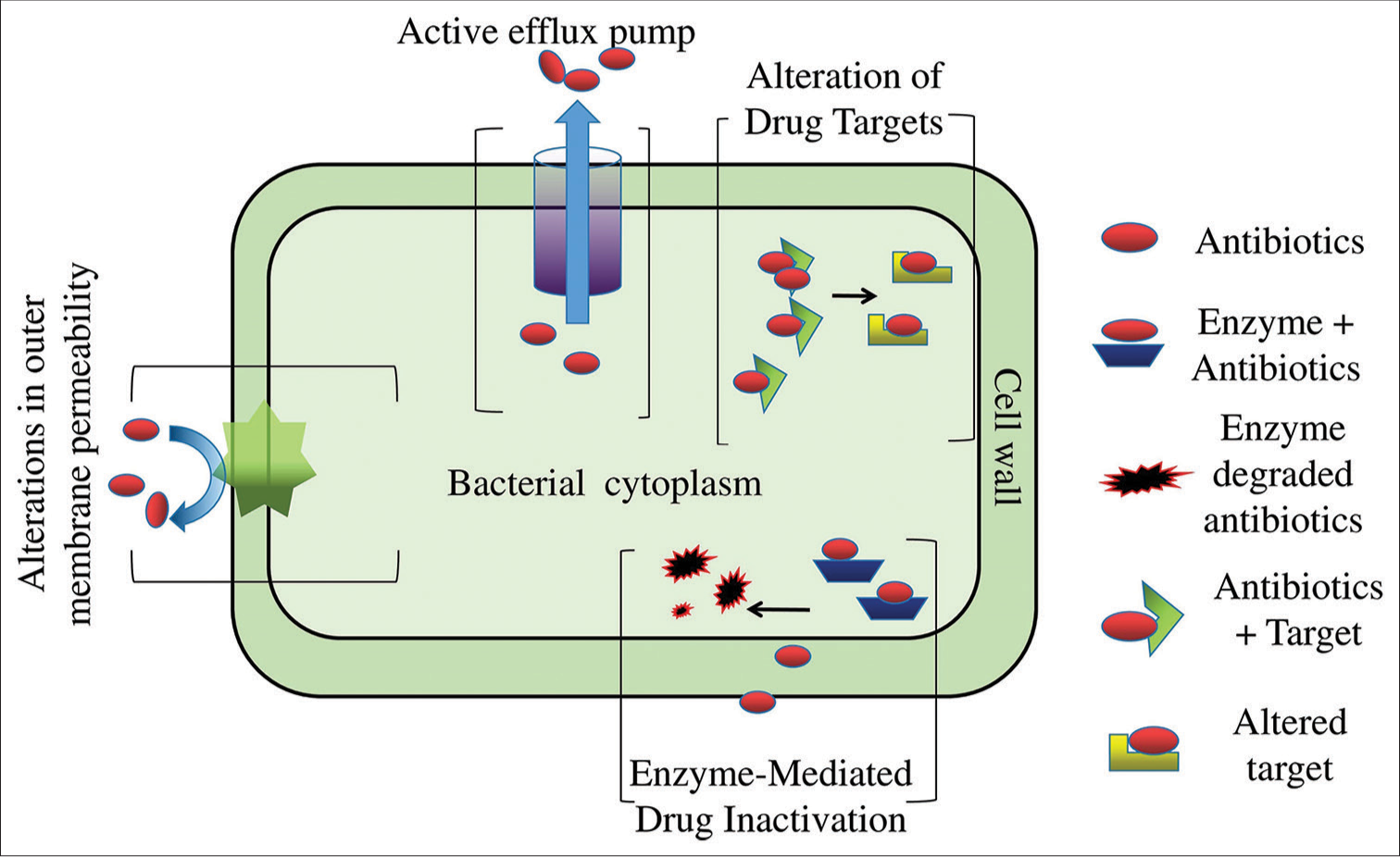 Antimicrobial resistance a continued global threat to public health – A perspective and mitigation strategies