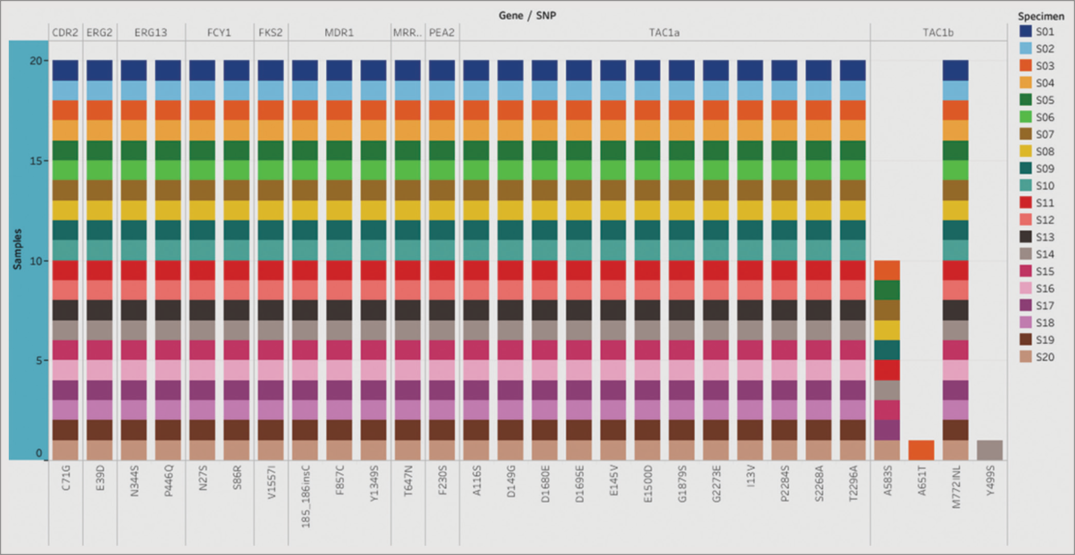 Genetic analysis of drug resistance mechanisms and phylogenetic clustering in Candida auris isolates from Western India