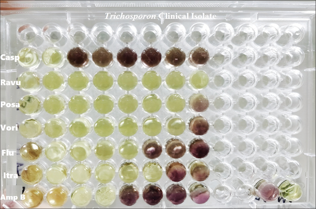 Comparative evaluation of MIC values of Trichosporon spp. by MTT assay and CLSI M27-A3 broth microdilution reference methods