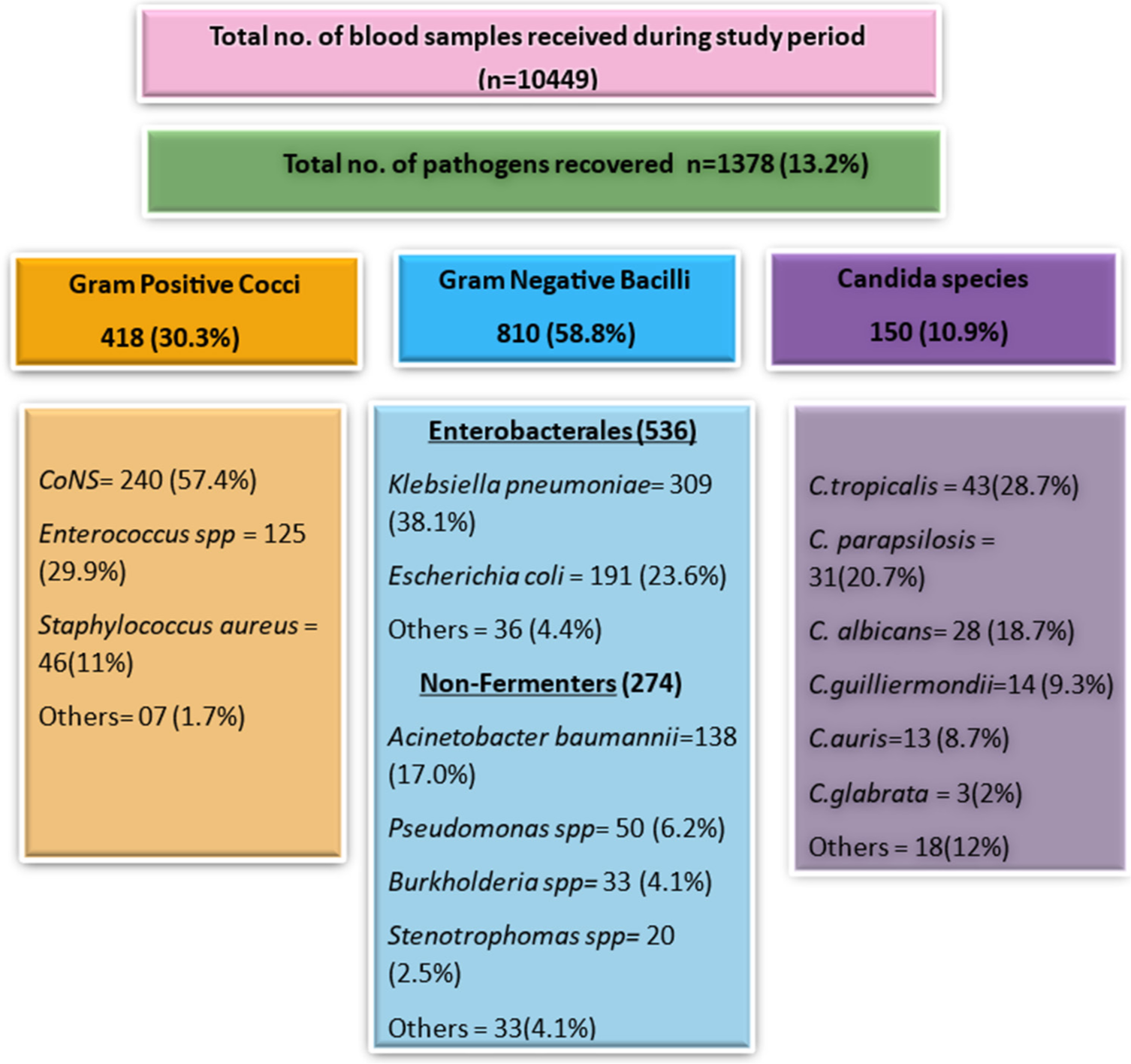 Etiological profile and antimicrobial susceptibility pattern of blood culture isolates for bloodstream infection