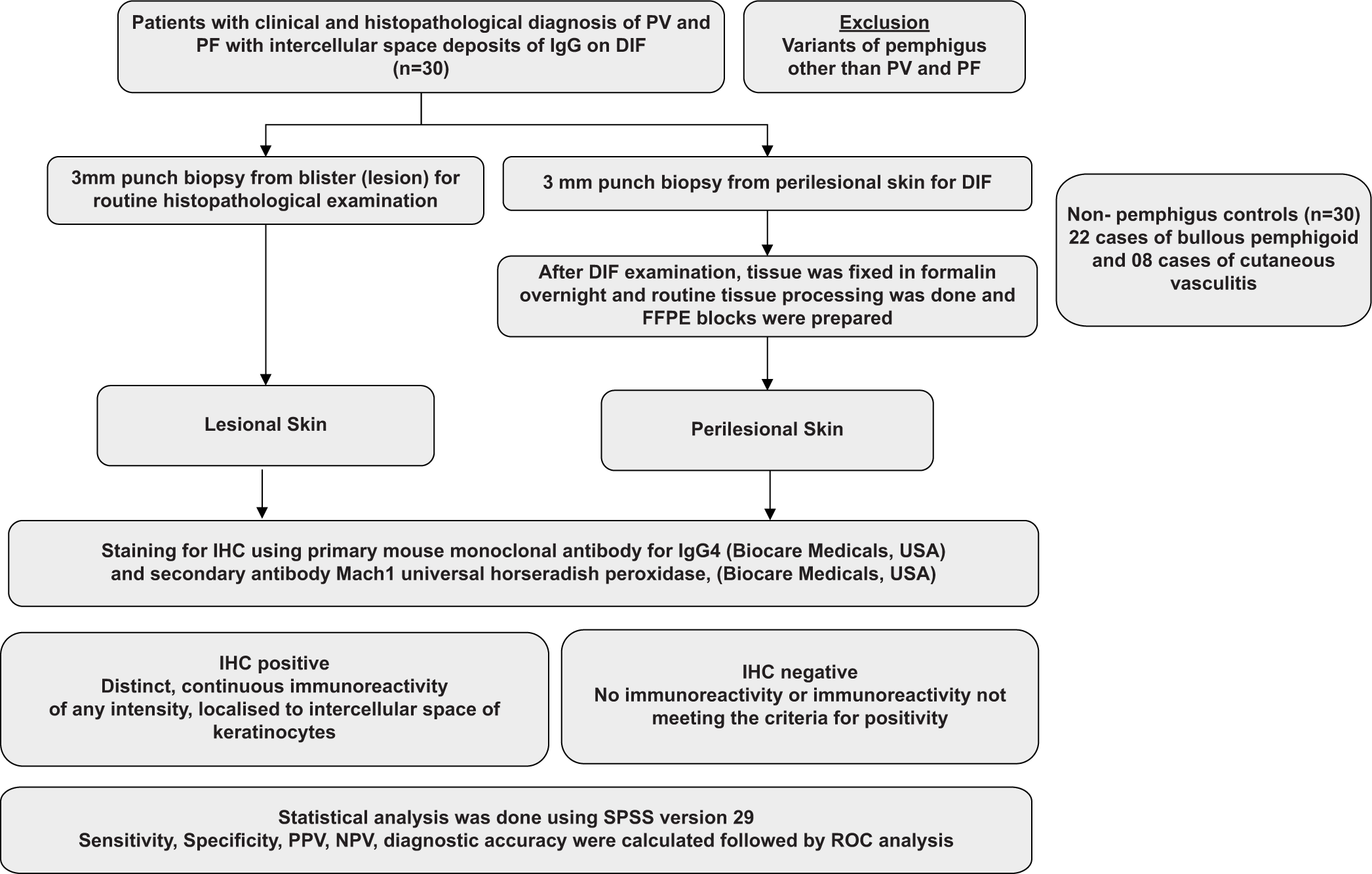 Utility of immunohistochemistry for immunoglobulin G4 in the diagnosis of pemphigus