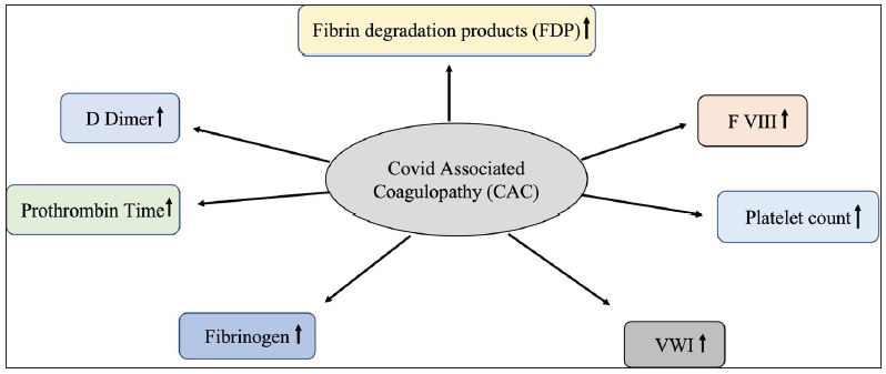 Recounting COVID-19 associated complement-mediated coagulopathies: Triggers and controls