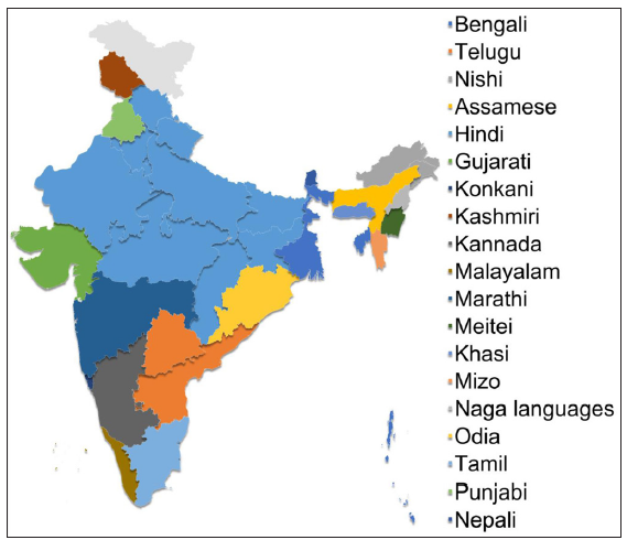 Medical education in vernacular language in India: Potential advantages, challenges, and a way forward