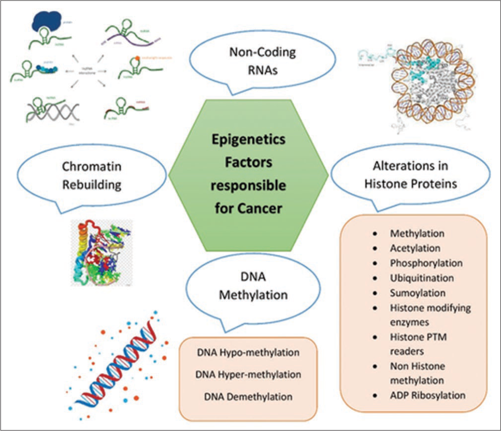 Prevalence of Serum Vitamin D Deficiency and Insufficiency in Cancer