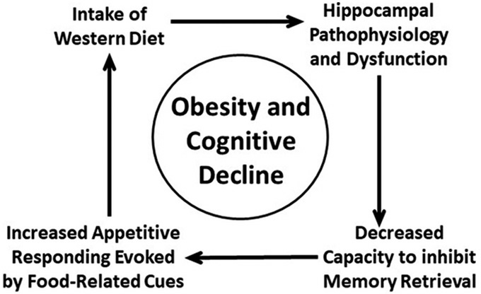 Body Mass Index as an Indicator of Psychological Well-being and Memory Functioning in Middle-aged Indian Adults