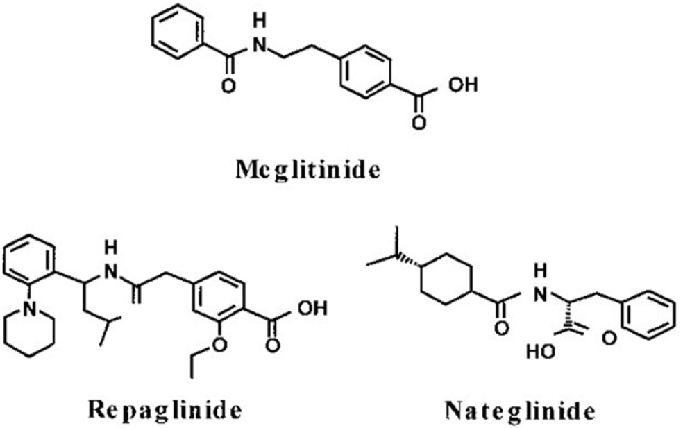 Meglitinide Drugs Member as a Compendium