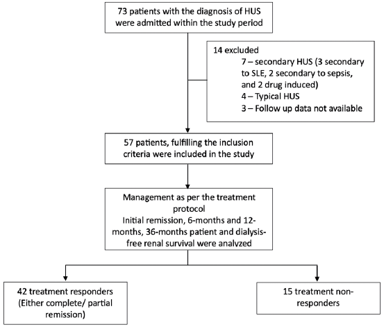 Long-Term Outcomes of Anticomplement Factor H Antibody Positive Versus Negative Atypical Hemolytic Uremic Syndrome