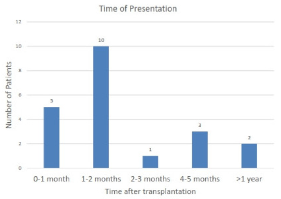 Parvovirus B19 Infection as a Cause of Refractory Anemia in Kidney Transplant Recipients: A Case Series