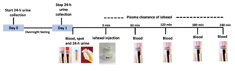 Development and Validation of an Accurate Creatinine-Based Equation to Estimate Glomerular Filtration Rate for the Adult Indian Population: Design and Methods