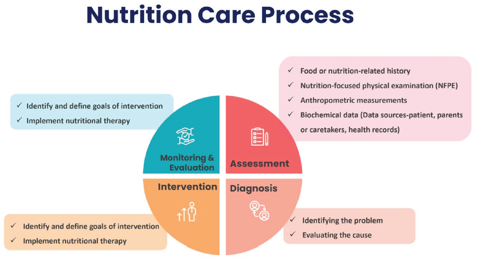 Nutrition Compass: Guiding Patients with Chronic Kidney Disease Across Ages