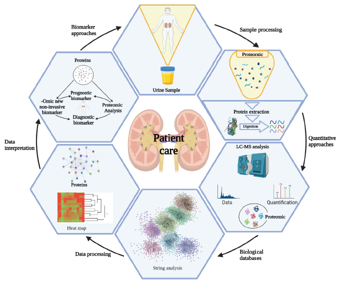 Mass Spectrometric Identification of Urinary Biomarkers of Chronic Kidney Disease: A Proteomic-related Preliminary Report