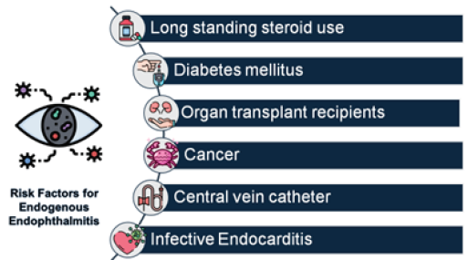 Endogenous Endophthalmitis in the Setting of Kidney Disease: A Case Series