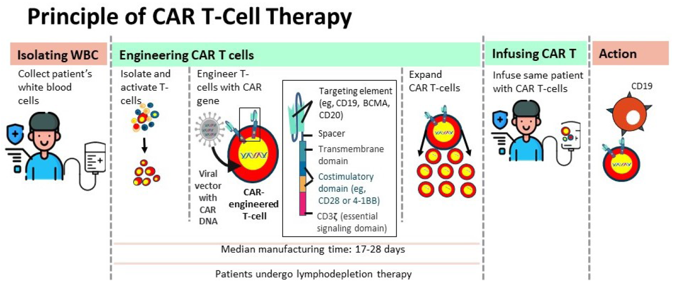 Nephrology’s Next Frontier: Expanding the Reach of CAR T-Cell Therapy for Refractory Lupus Nephritis and Beyond