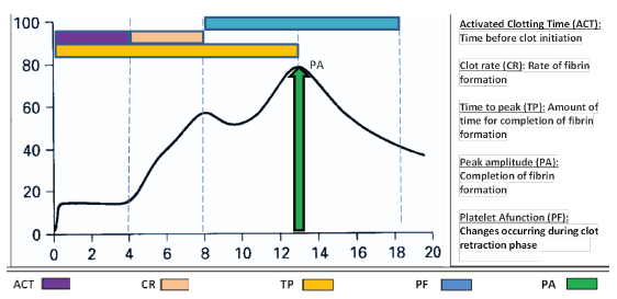 Comparison of Standard and Global Coagulation Tests in Hemodialysis Patients