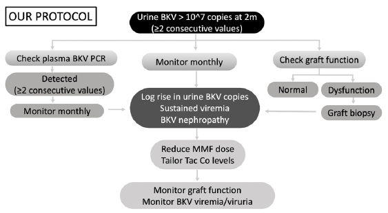 Early Detection Strategy of BK Polyoma Virus Infection in Kidney Transplant Recipients