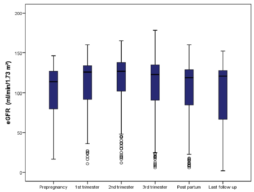 Maternal, Fetal, and Kidney Outcomes of Viable Pregnancies in Women with Underlying Kidney Disease: Experience from a Single Tertiary Care Center in India