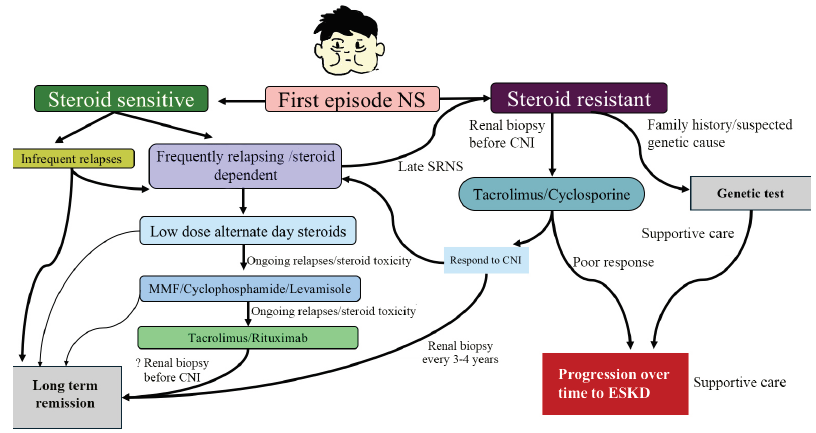 Strategies to Improve Quality of Life in Children with Nephrotic Syndrome