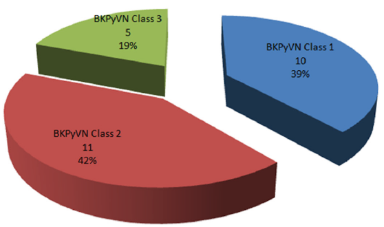 The Prevalence and Outcomes of BK Polyoma Virus Nephropathy in Living Donor Kidney Transplant Recipients