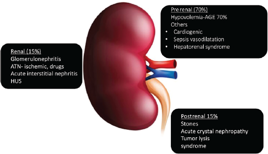 The Ongoing Saga of Acute Kidney Injury Associated with Gastroenteritis in Developing World