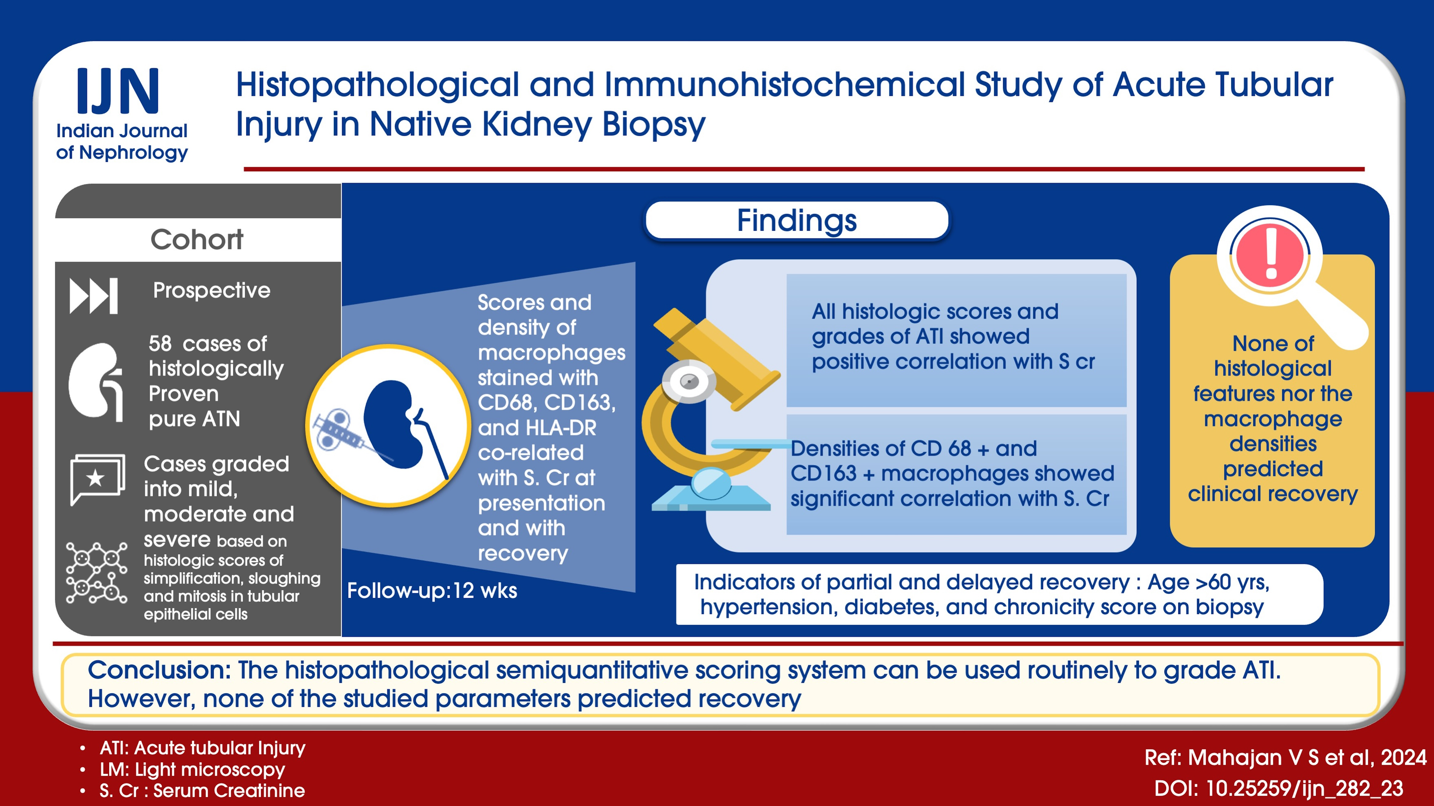 Histopathological and Immunohistochemical Study of Acute Tubular Injury in Native Kidney Biopsy