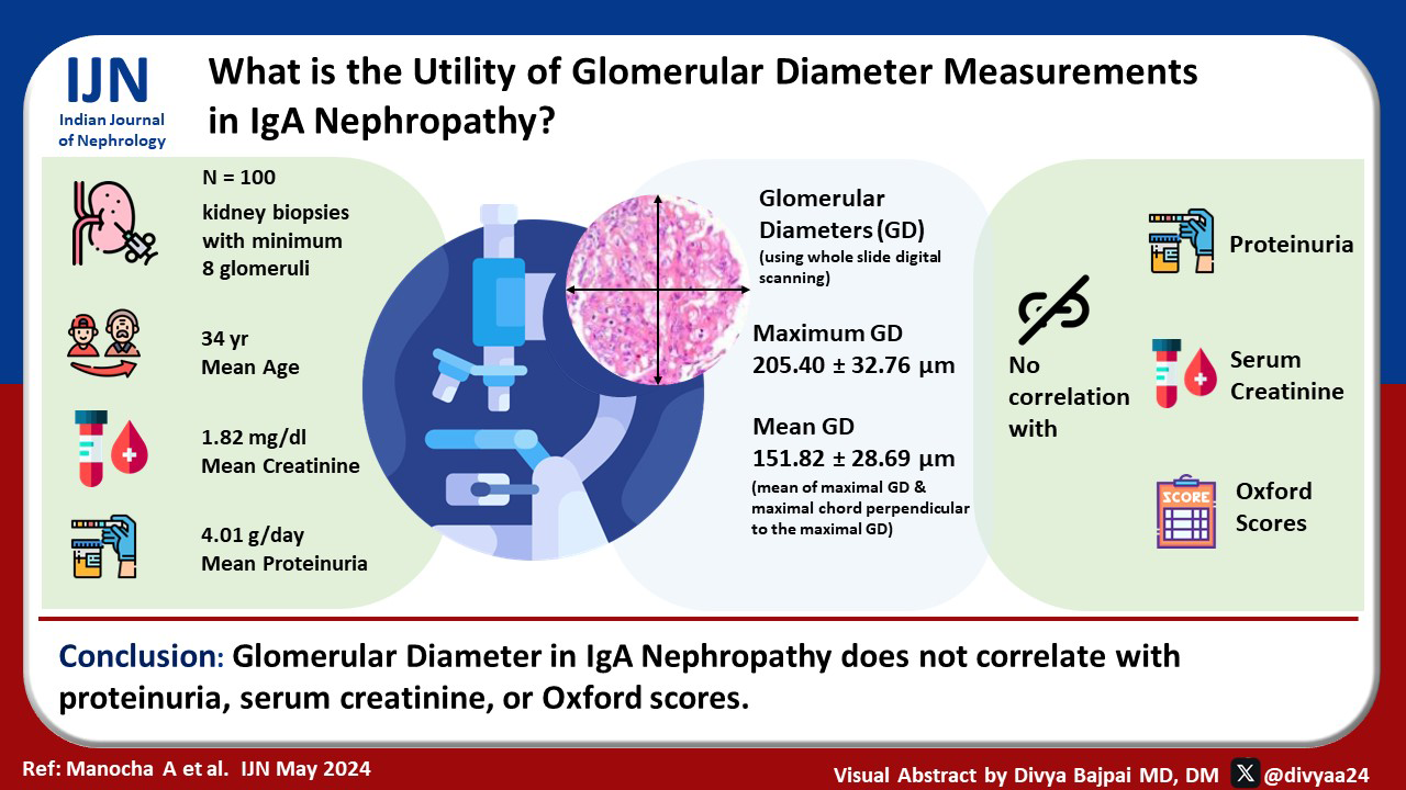 Glomerular Diameter Measurements on Light Microscopy: A New Parameter Available to Pathologists and its Utility in IgA Nephropathy