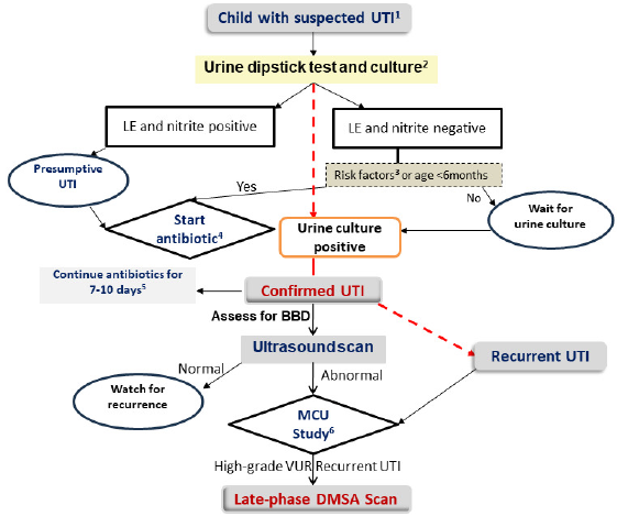 Management of Urinary Tract Infections and Vesicoureteric Reflux: Key Updates from Revised Indian Society of Pediatric Nephrology Guidelines 2023