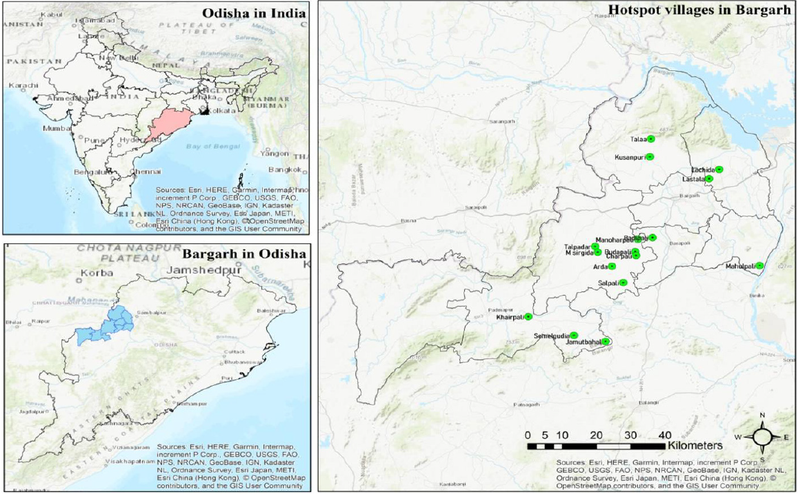 Prevalence of Chronic Kidney Disease and its Association with Pesticide Exposure in Bargarh District, Odisha, India