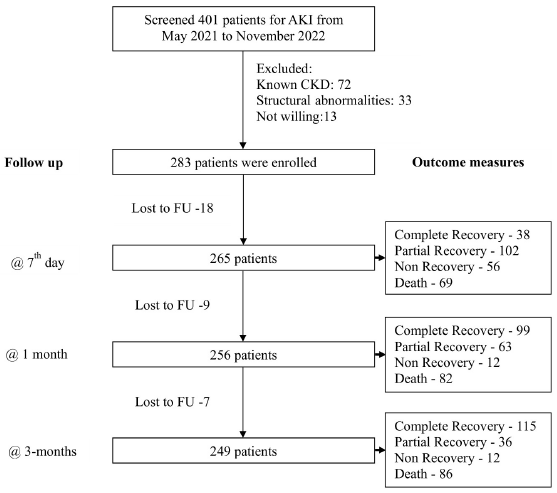 Clinical Profile and Predictors Affecting Outcome in Community-Acquired Acute Kidney Injury: A 3 Months Follow-Up Study