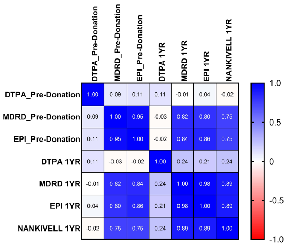 Comparison of Different Equations with GFR Measured by Scintigraphy in Kidney Donors