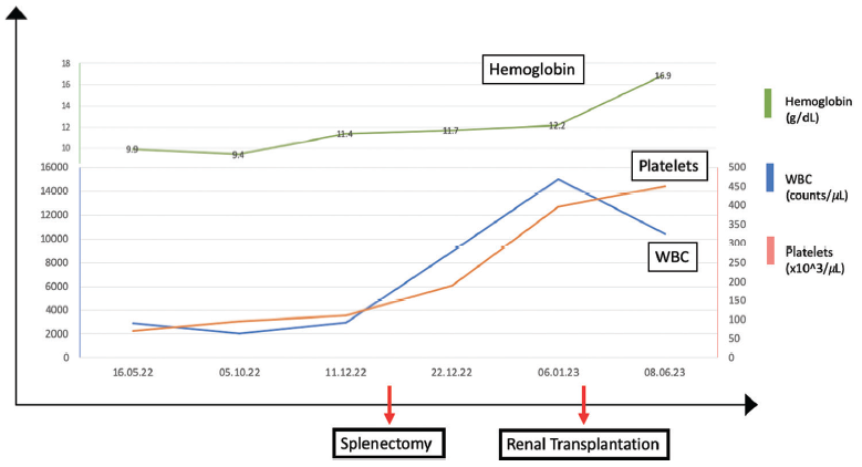 Splenectomy Before Kidney Transplantation for Hypersplenism: A Case Report