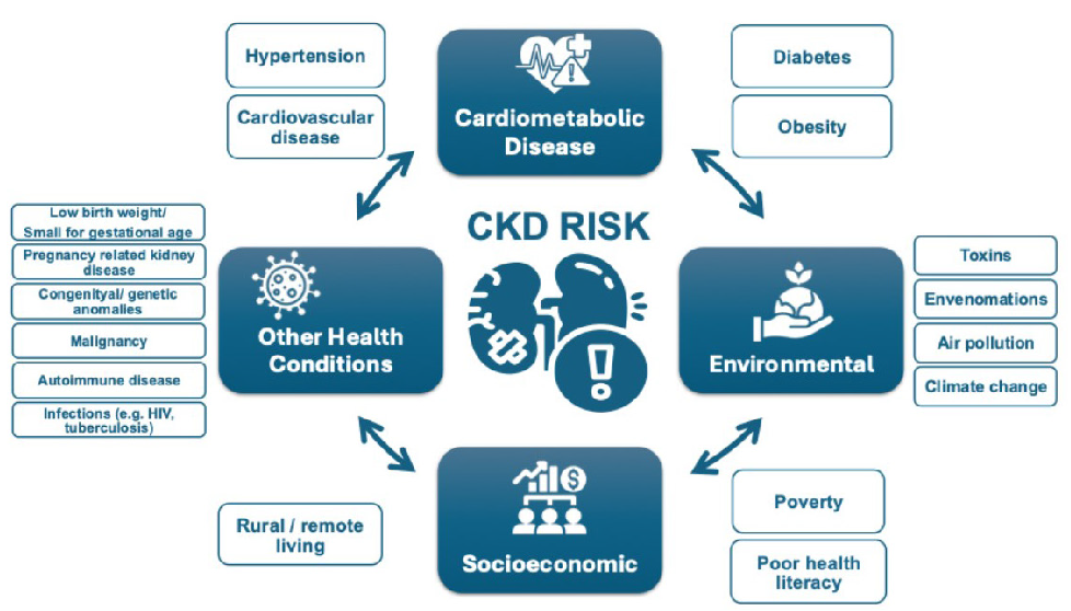Are Your Kidneys Ok? Detect Early to Protect Kidney Health