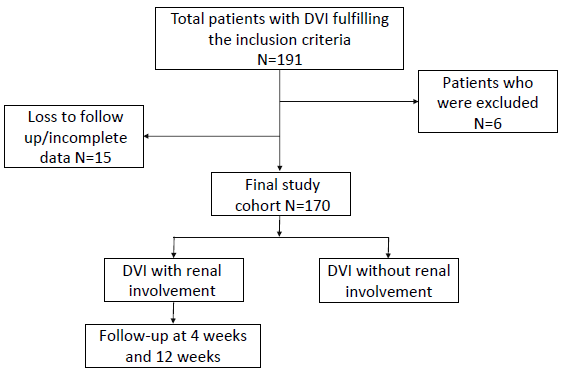 Incidence, Risk Factors and Outcomes of Renal Involvement in Patients with Dengue Viral Infection