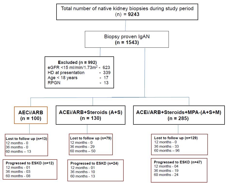 Retrospective Analysis of the Outcomes of Mycophenolate Therapy in Retarding the Progression of Immunoglobulin A Nephropathy (REMISSION IgA)