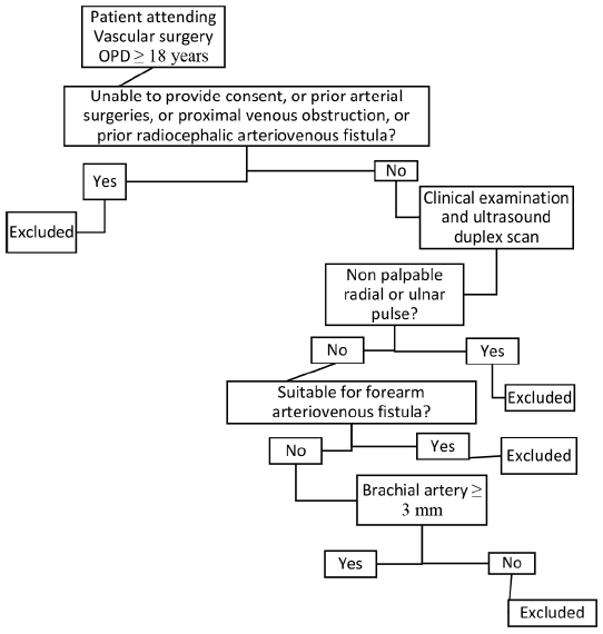 A Prospective Comparison of Outcomes of Brachiocephalic Versus Brachiobasilic Fistulas for Hemodialysis