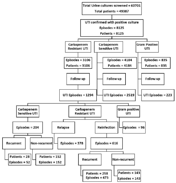 Clinical, Microbiological Profile, and Treatment Outcomes of Carbapenem-Resistant Urinary Tract Infections in a Tertiary Care Hospital