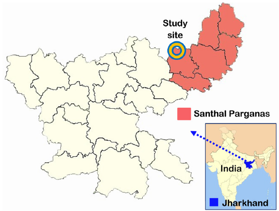 Assessment of Patient Awareness Regarding Chronic Kidney Disease Management in Santhal Parganas