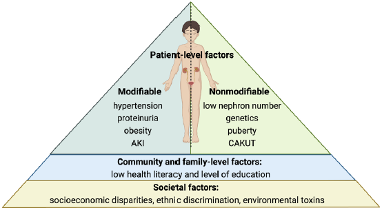 Not Just Small Adults: Considerations for Pediatric Chronic Kidney Disease