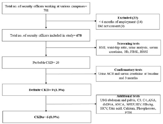 Impact of Noncommunicable Diseases and Heat Stress on Estimated Glomerular Filtration Rate in Security Officers at a Tertiary Care Hospital in South India