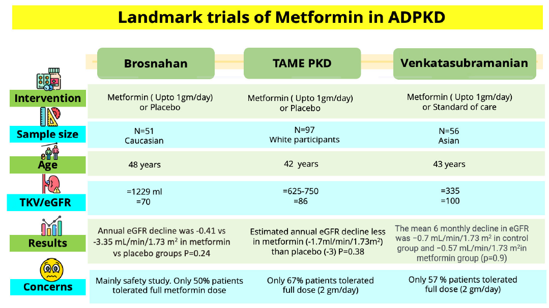 Reassessing Metformin’s Potential in Autosomal Dominant Polycystic Kidney Disease (ADPKD): A Call for Further Research