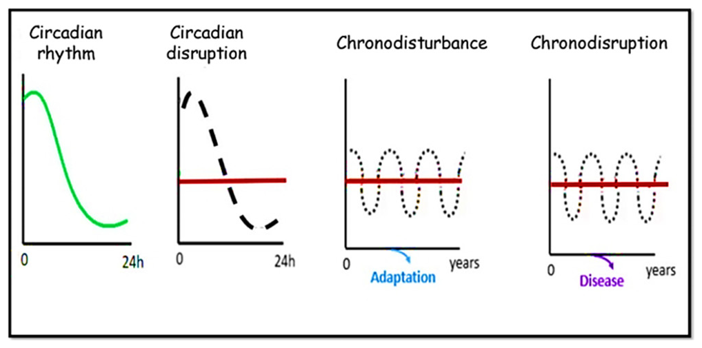 Fertility Problems Due to Chrono-Disruption: A Mini Review