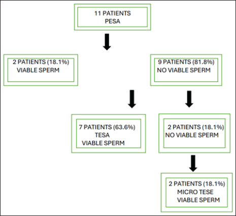 Efficacy of Surgically Extracted Sperm in Assisted Reproductive Technology