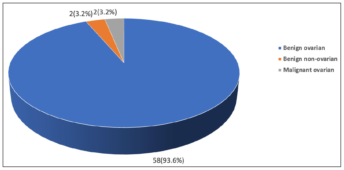 Categorisation of Adnexal Masses in Infertile Women: A Retrospective Cohort Analysis