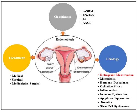 A Primer on Clinical Classification and Pathophysiology of Endometriosis